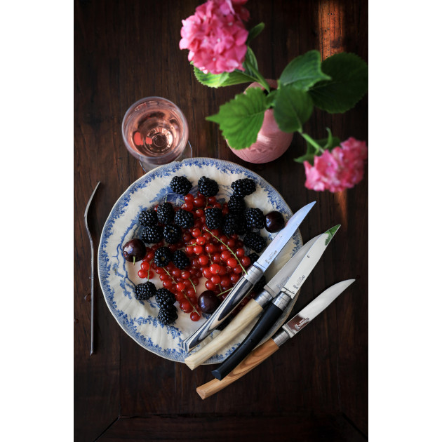 Coffret Opinel - Couteaux Table Chic