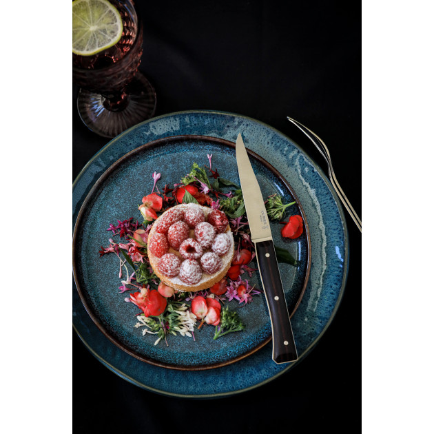 Couteaux de Table en Inox