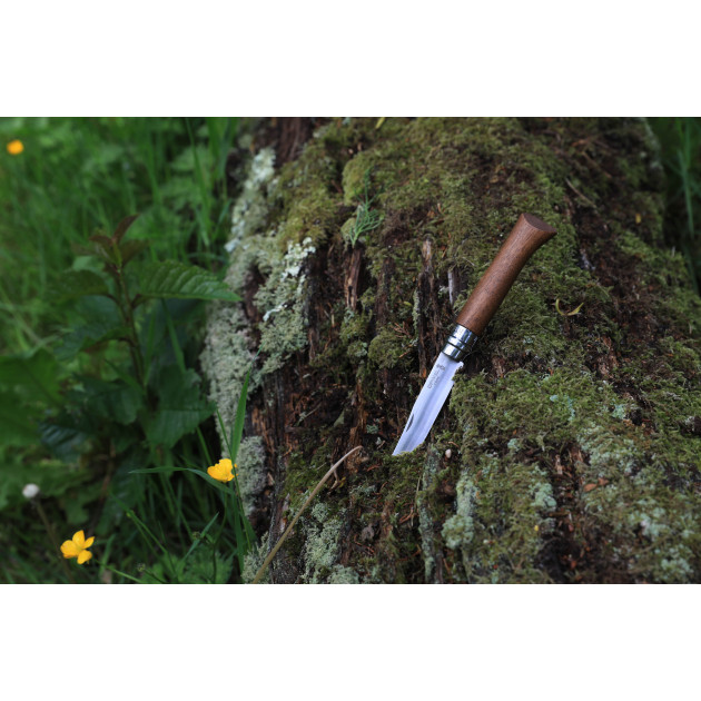 Couteau avec une Lame en Inox