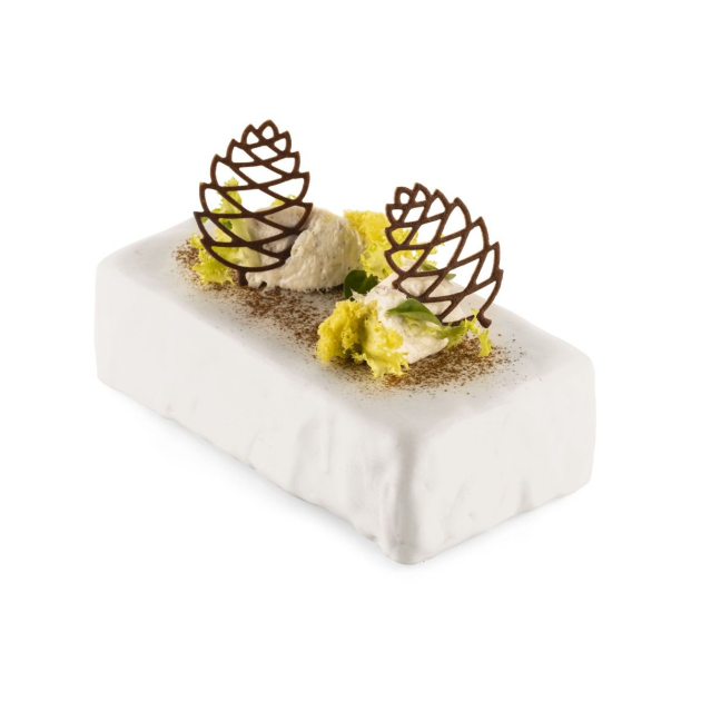 Moule Silicone Moule Silicone