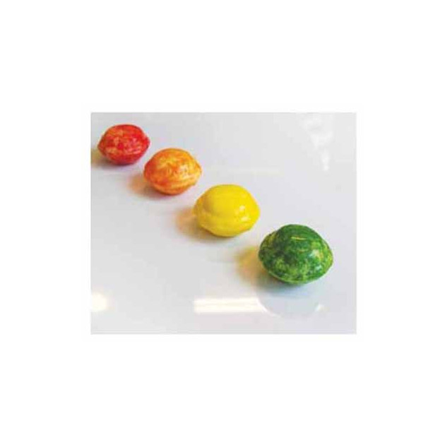 Moule Chocolat Polycarbonate Macarons (x18) Chocolate World