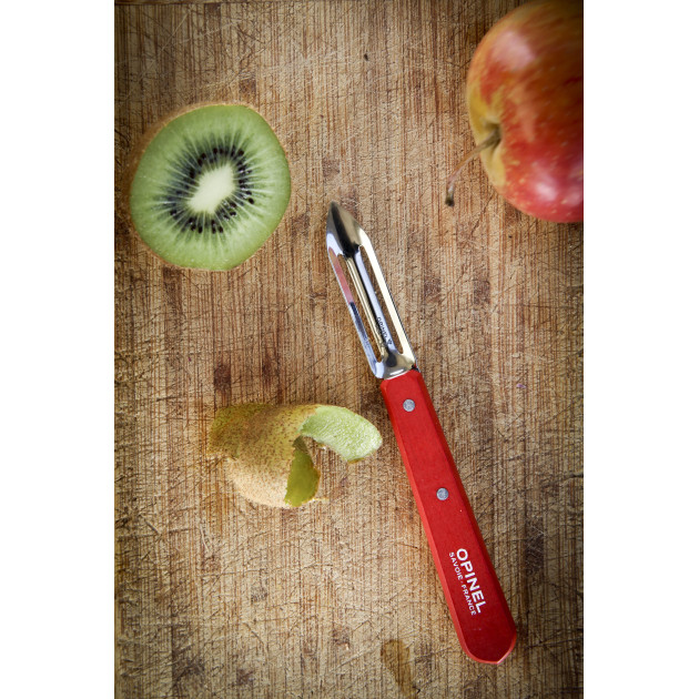 Econome en Inox Opinel