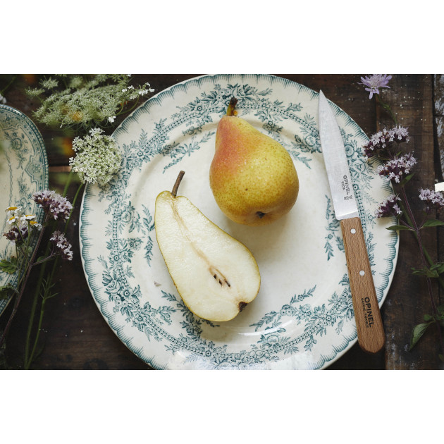 Lot de 2 Couteaux d'Office Opinel