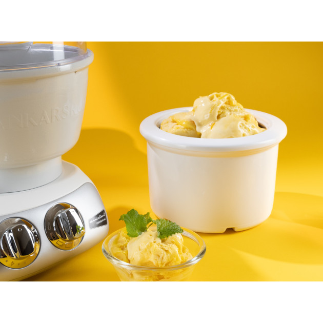 Sorbetière - Faire de la Glace Maison Sorbetière - Faire de la Glace Maison