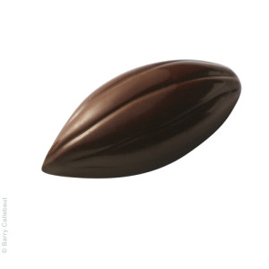 Moule à Chocolat Bonbon Cabosse 3,9 x 1,7 cm (x40) Barry