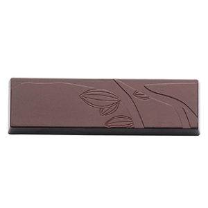 Moule à Chocolat Tablette Goûter 10 x 3 cm (x8) Barry