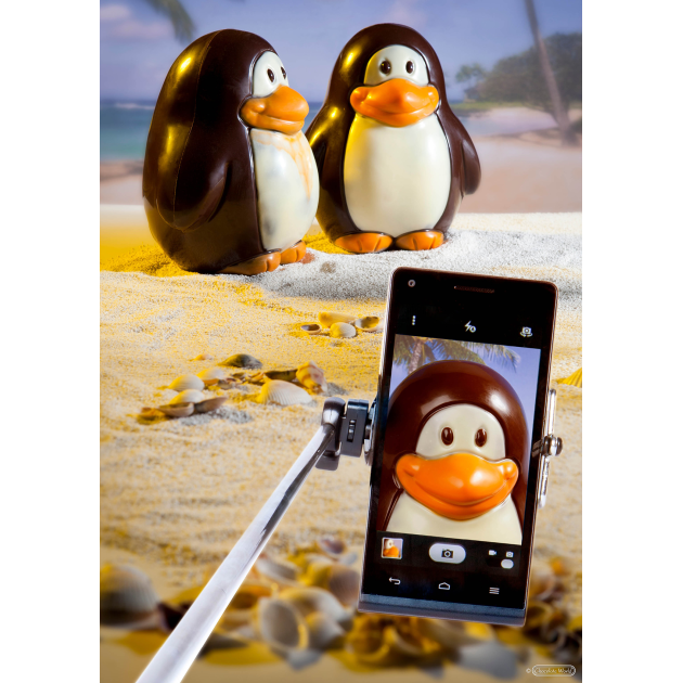 Moule Chocolat Aimanté Pingouin 15 cm Chocolate World Moule Chocolat Aimanté Pingouin 15 cm Chocolate World