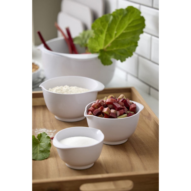 Bol à Mixer Rosti Margrethe