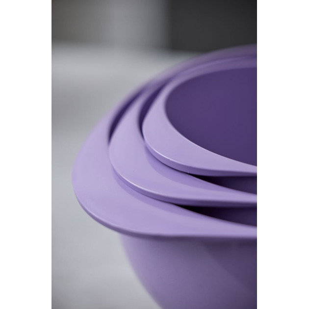 Rosti Bol à Mixer avec Poignée Fixe