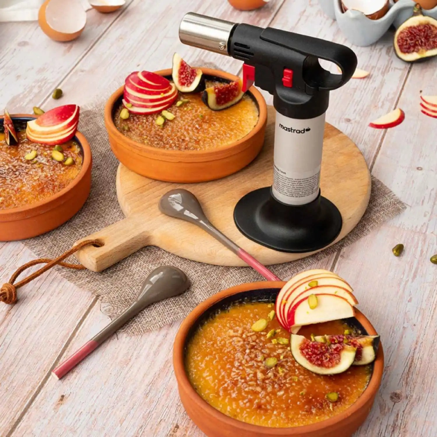 Chalumeau professionnel