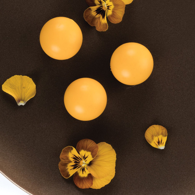 Moule pour Chocolat Easy Choc