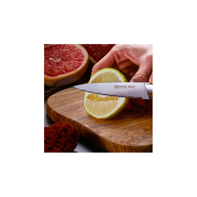 Couteau pour Fruits et Légumes Couteau pour Fruits et Légumes