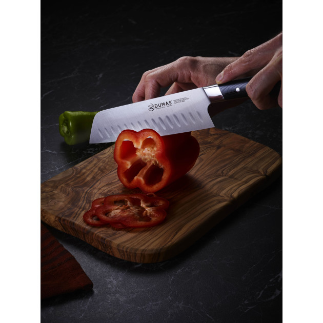 Couteau Forgé en Inox Couteau Forgé en Inox