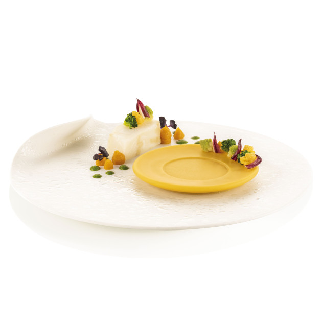 Moule Silicone Décor Assiette Ø 11,5 x H 1,5 cm (x6) Naturae Silikomart