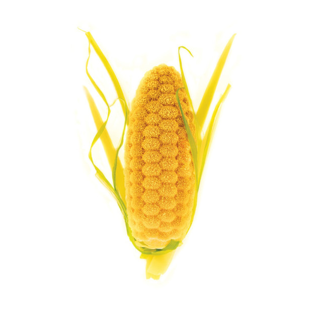 Moule 3D Silikomart Moule 3D Silikomart