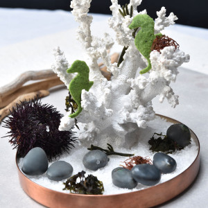 Moule Silicone Pierres 3,6 x 2,8 x H 1,5 cm (x28) Gourmand Pavoni