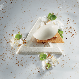 Moule Silicone Triangle 12 x 10 x H 1 cm (x9) Gourmand Pavoni