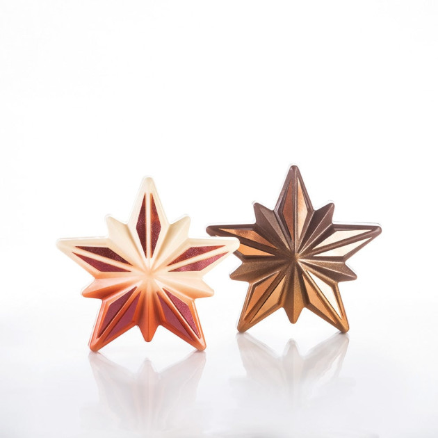 Kit Moules Chocolat Etoile Polaris (x2) Pavoni
