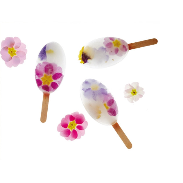 Moule pour Glace en Silicone Moule pour Glace en Silicone