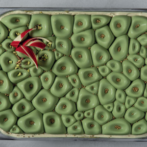 Moule Silicone Décor Glace Corail 36,2 x 15,2 x H 2,2 cm Pavoni Moule Silicone Décor Glace Corail 36,2 x 15,2 x H 2,2 cm Pavoni