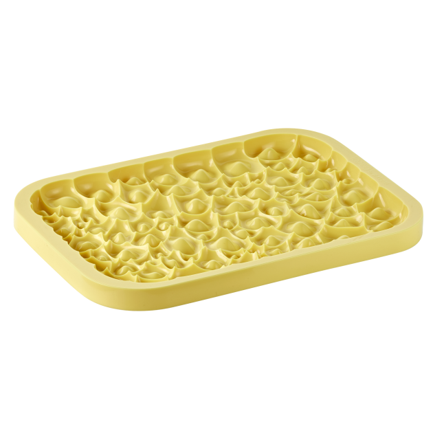 Moule en Silicone Pavoni