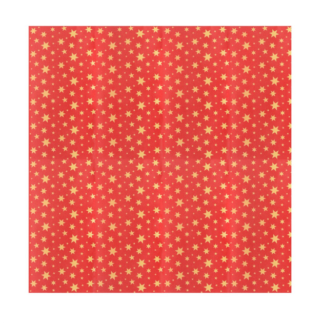 Papier Cuisson de Noël Papier Cuisson de Noël