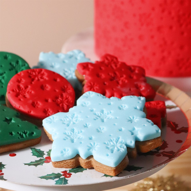 Tapis Silicone pour Pâte à Sucre