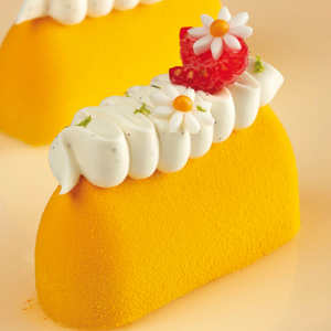 Moule Silicone Gianduiotto 9 x 3 x H 5,3 cm (x40) Pavoflex