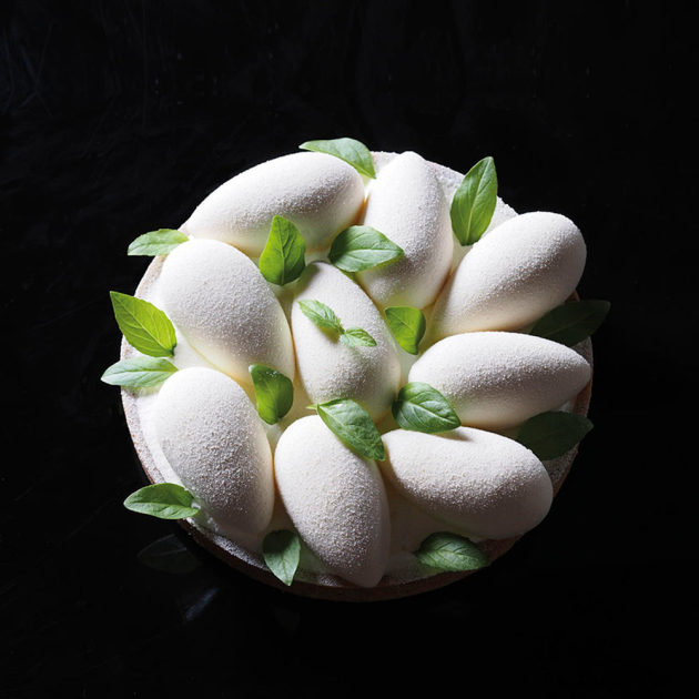 Moule Silicone Quenelle 6,6 x 3,5 x H 2,6 cm (x49) Pavoflex