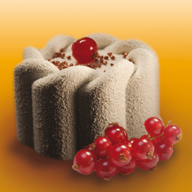 Moule Silicone Entrelacé 7 x H 4 cm (x24) Pavoflex