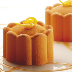 Moule Silicone Charlotte 6,5 x H 3,8 cm (x24) Pavoflex