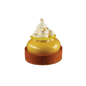 Moule Silicone Rond 6 x H 2 cm (x8) Pavoflex