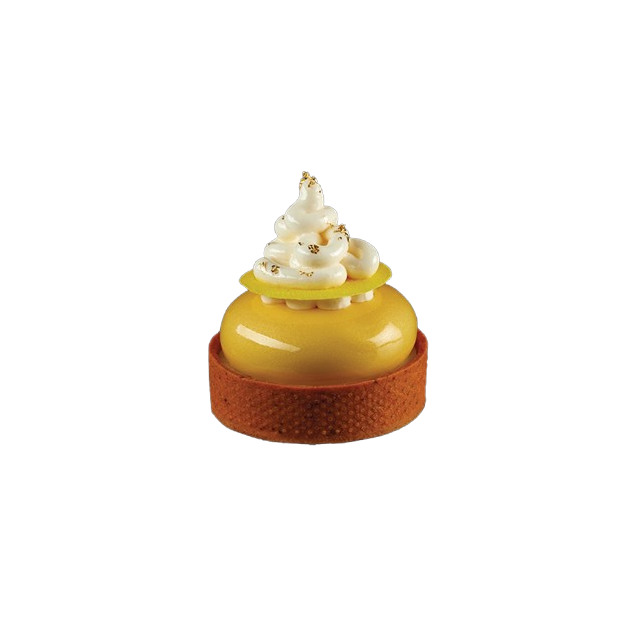 Moule Silicone Rond 6 x H 2 cm (x8) Pavoflex