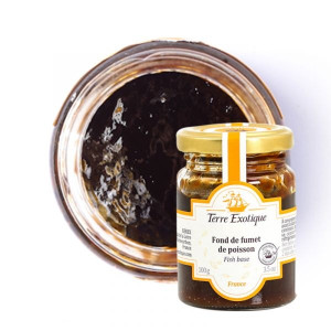 Fond de Fumet de Poisson 100 g Terre Exotique