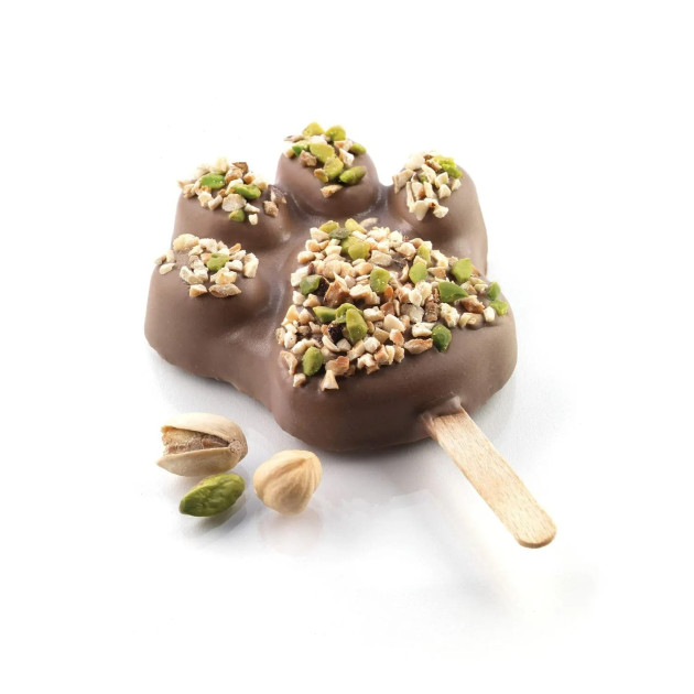 Glace faite maison à l'aide du moule à glace professionnel en patte de chien Glace faite maison à l'aide du moule à glace professionnel en patte de chien