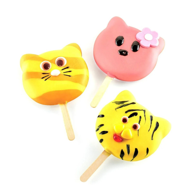 Glaces rigolotes en forme de chat Glaces rigolotes en forme de chat