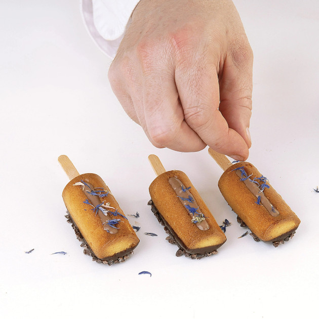 Résultat du Moule à esquimaux compatible four et congélateur