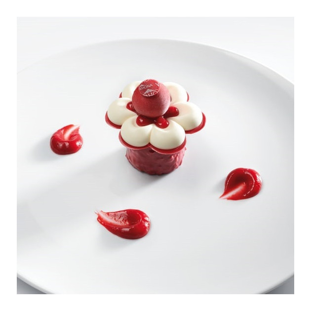 Idée Recette Dessert au Chocolat de Couverture Inspiration Fraise Valrhona