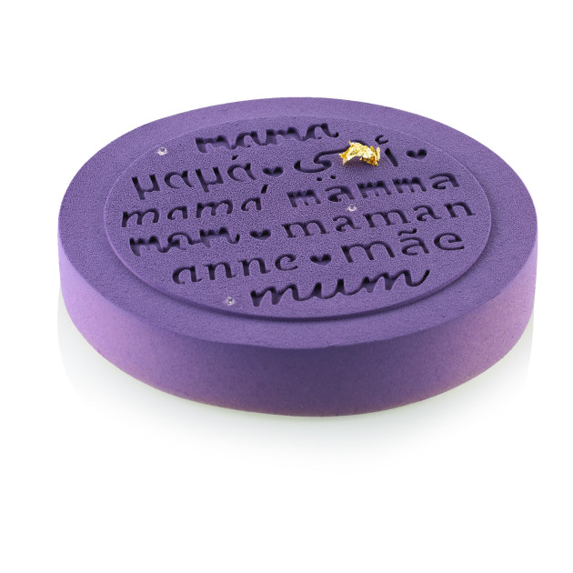 Moule Silicone Professionnel