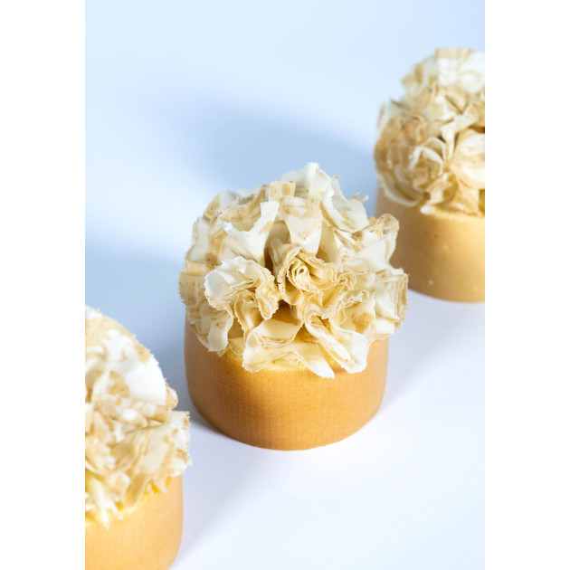 Stabilisateur Cuisine Louis François Stabilisateur Cuisine Louis François