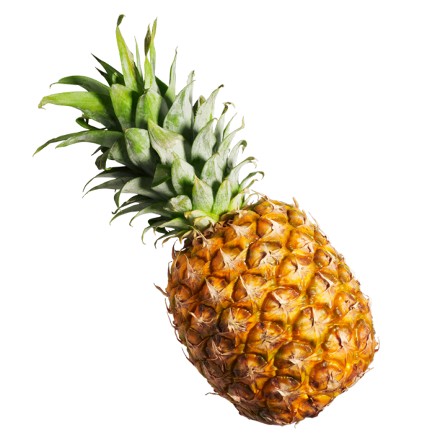 Purée de Fruits Capfruit Purée de Fruits Capfruit