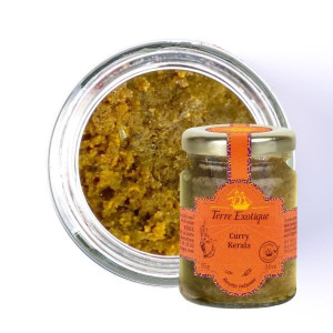Pâte de Curry Kerala 85 g Terre Exotique