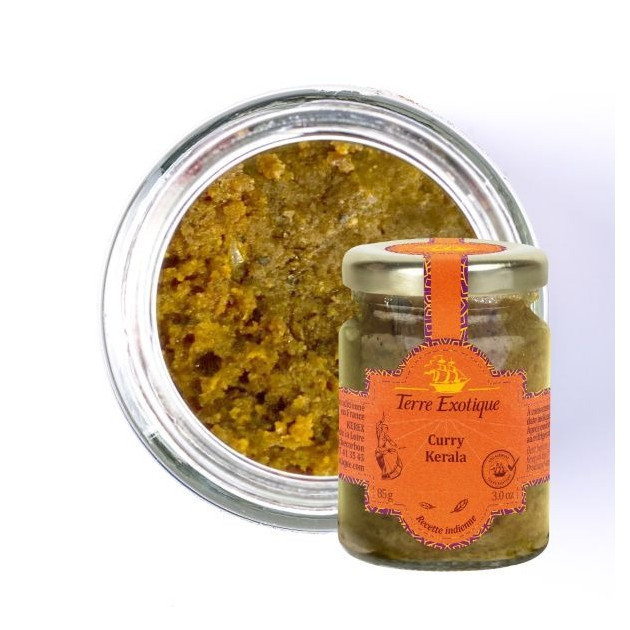 Pâte de Curry Kerala 85 g Terre Exotique