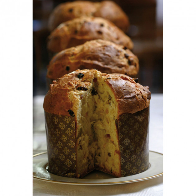 Gateau Panettone