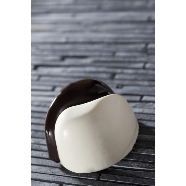 Moule en Silicone Professionnel