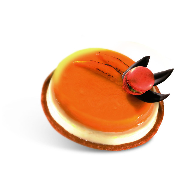 Moule en Silicone Insert