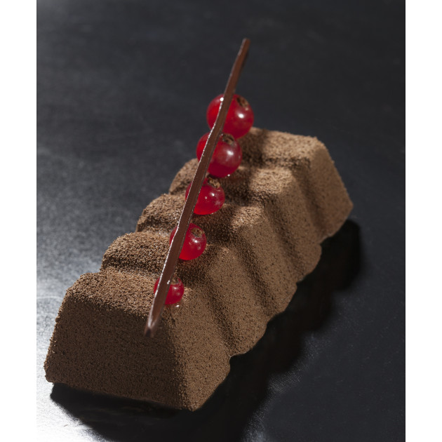 Moule pour Gâteaux Professionnel