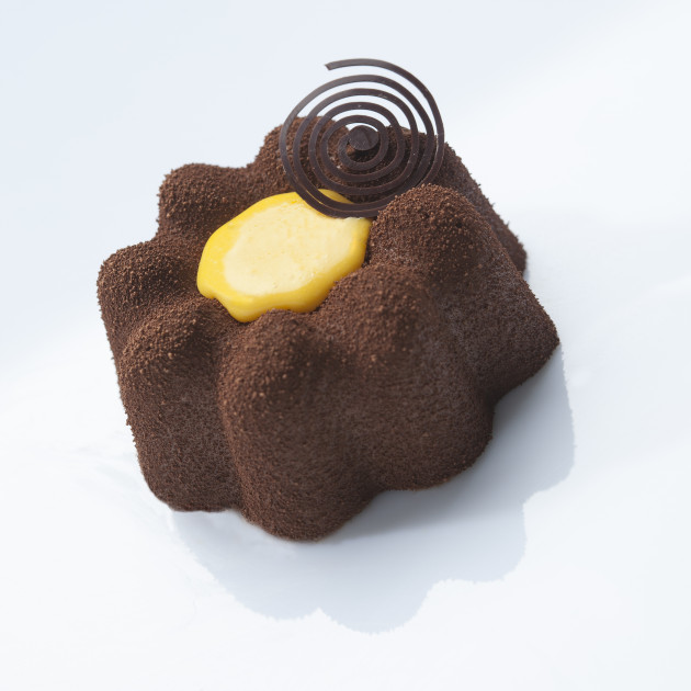 Moule en Silicone pour Bavarois Moule en Silicone pour Bavarois