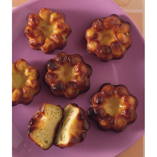 Moule pour Gâteaux Professionnel Moule pour Gâteaux Professionnel