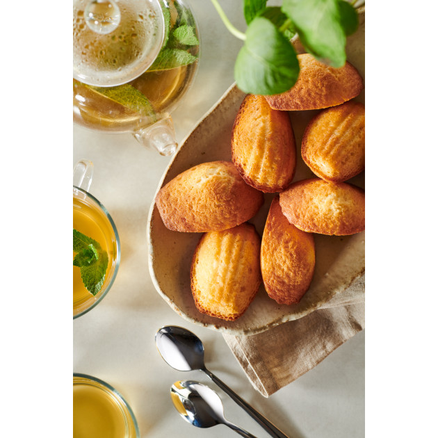 Moule Silicone Madeleines Flexipan